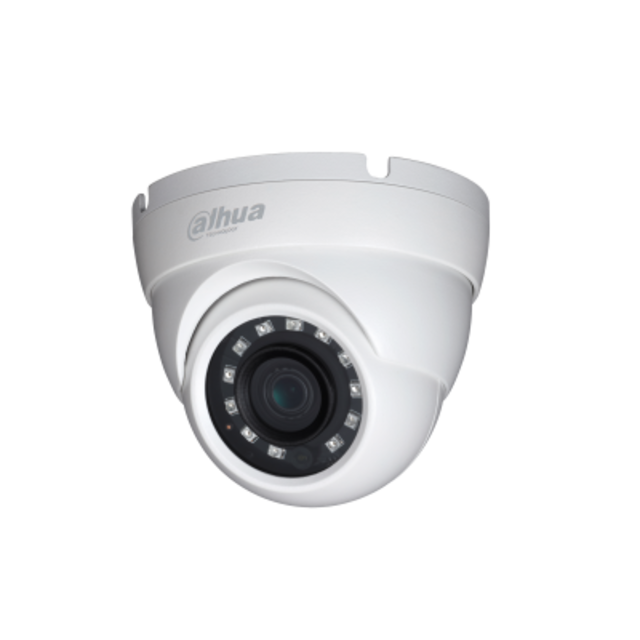 2MP IR Eyeball Network Camera Dahua Technology